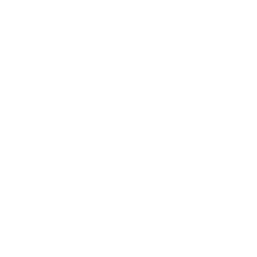 AMPHIBIAN