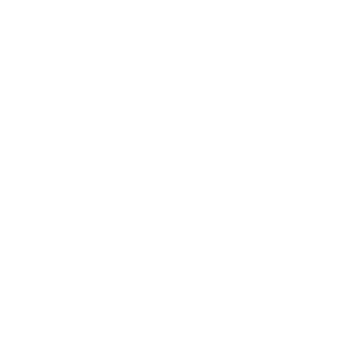 NTIVA LOGO